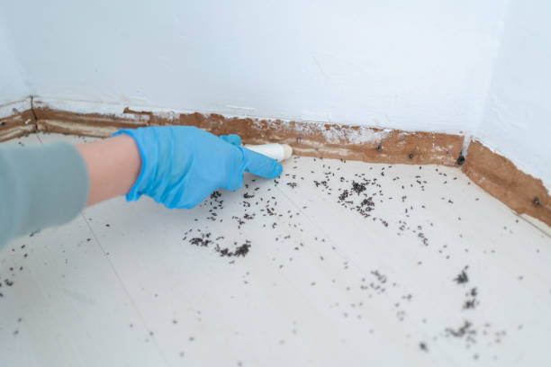 Best Pest Prevention Services  in Columbia, SC